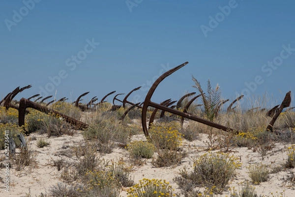 Obraz Algarve anchor beach