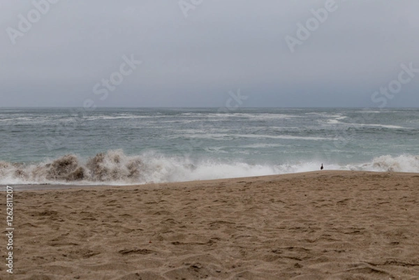 Fototapeta beach with waves of more calm with a background of blue sky seagulls and a summer island 