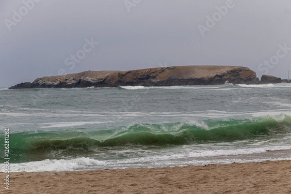 Fototapeta beach with waves of more calm with a background of blue sky seagulls and a summer island 