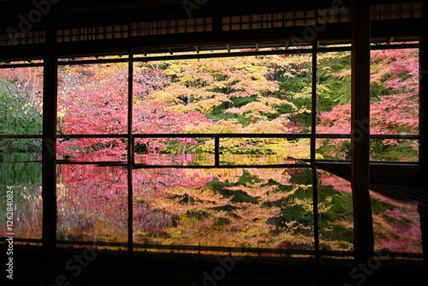 Fototapeta 瑠璃光院の紅葉