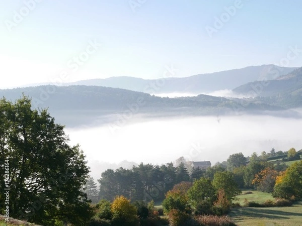 Fototapeta Brouillard d'automne
