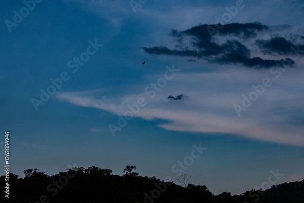 Fototapeta long white cloud in the shape of a shark in the blue sky with a bird flying isolated over the silhouette of the mountain with forest
