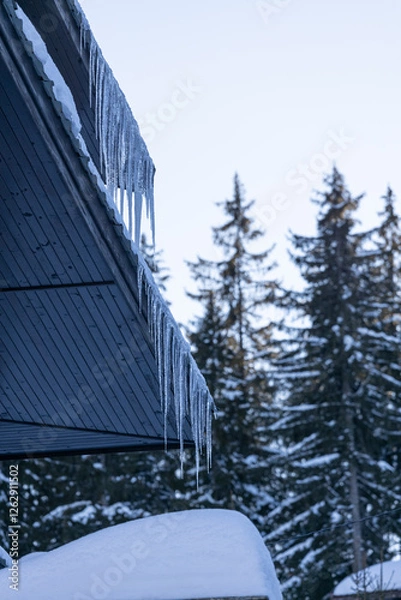 Obraz snow covered house