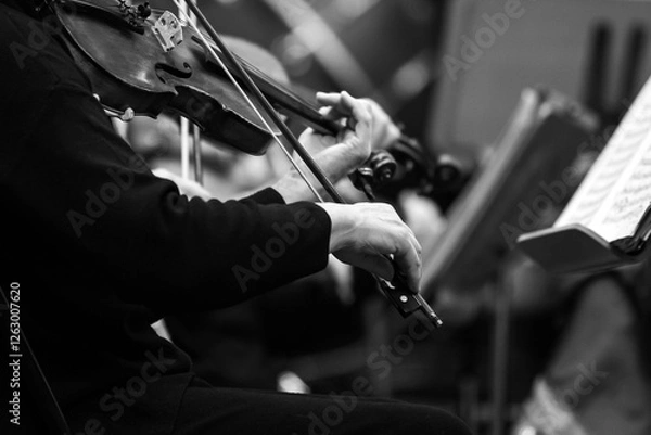 Obraz Hands of a violinist playing in an orchestra in black and white