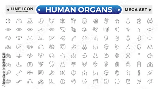 Fototapeta Human Organs outline icon, Organs, anatomy flat line icons set. Human bones, stomach, brain, heart, bladder, and nervous system vector illustrations. Editable stroke outline icon.