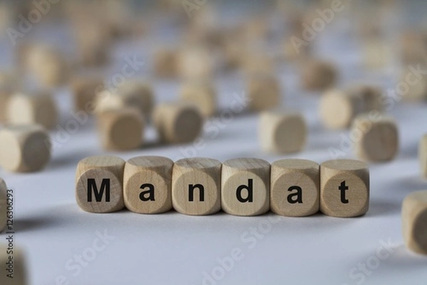 Obraz Mandat - Holzwürfel mit Buchstaben