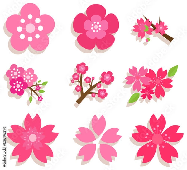 Obraz decorative-pack-variety-cherry-blossoms