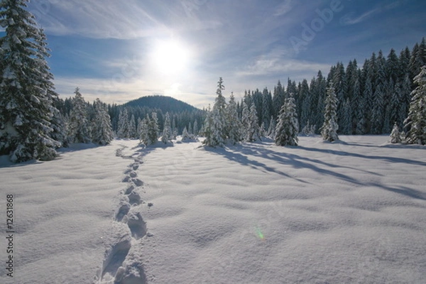 Obraz Footprints in fresh snow