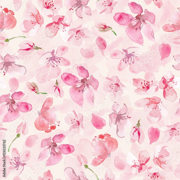 Obraz sakura flower background