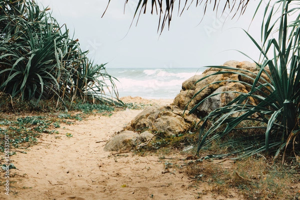 Obraz Secret beach spot