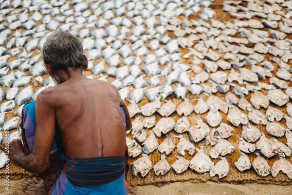 Obraz Fish drying in the sun