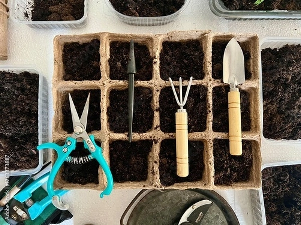 Obraz Planting seeds in the soil for seedlings. Garden tools and pots for seedlings on the table flat layout top view.