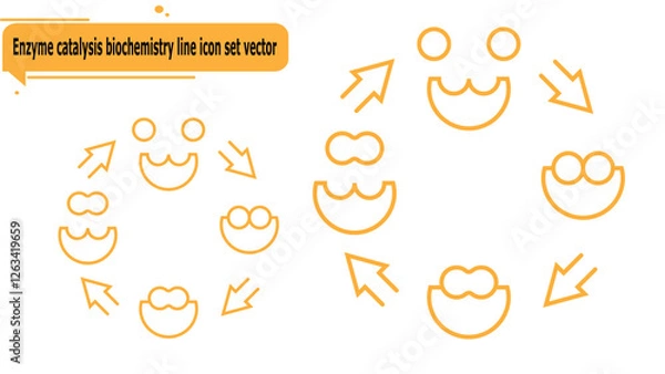 Fototapeta Enzyme catalysis biochemistry line icon set vector