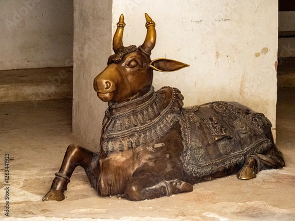 Fototapeta OLYMPUS DIGITAL CAMERA