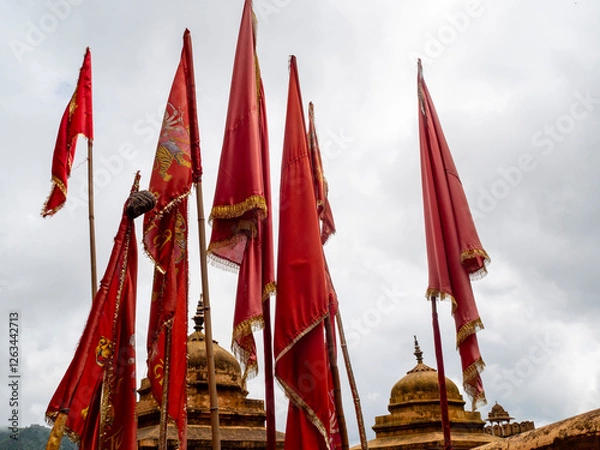 Fototapeta OLYMPUS DIGITAL CAMERA