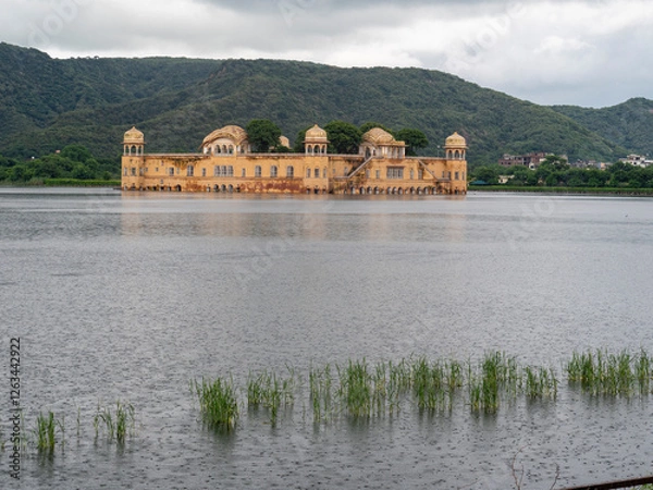 Fototapeta OLYMPUS DIGITAL CAMERA