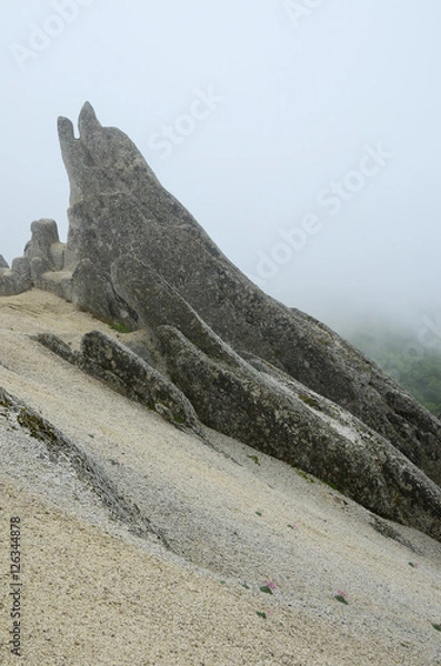 Obraz 燕岳イルカ岩