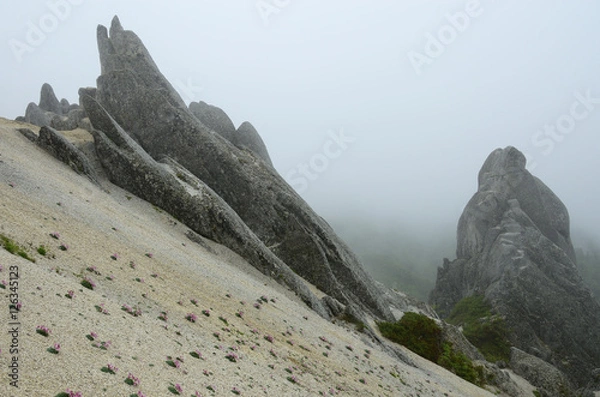 Obraz 燕岳イルカ岩