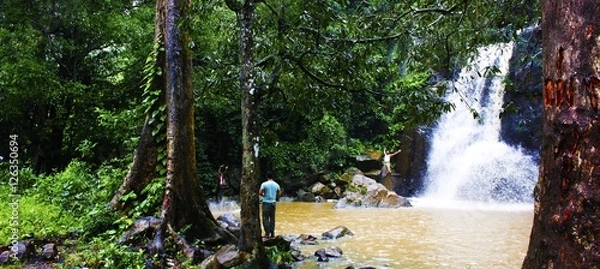 Obraz The waterfalls