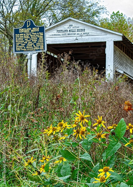 Obraz 501-42 Portland Mills Covered Bridge