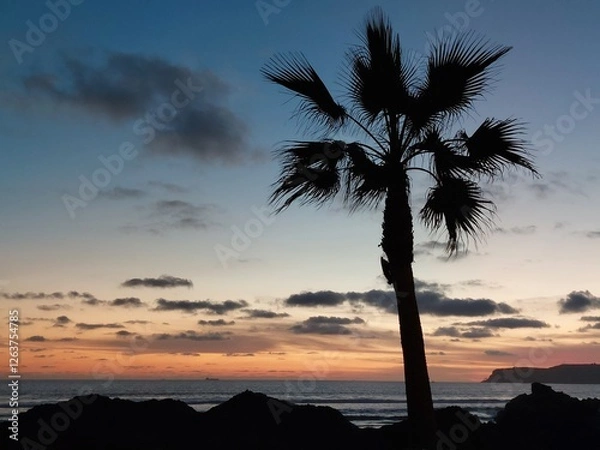 Fototapeta Sunset with a Palm Tree at the beach
