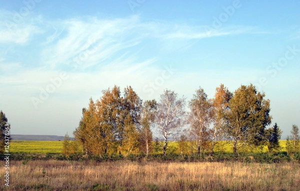 Obraz Russian expanses