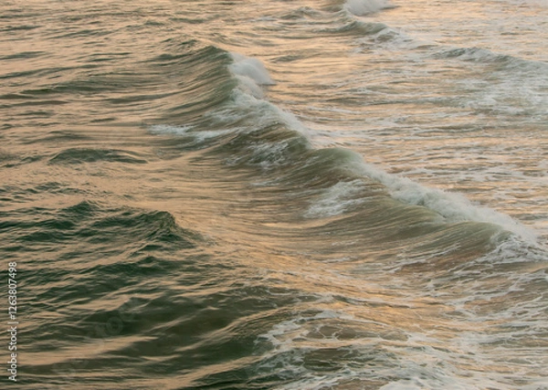 Fototapeta sea ​​with gentle waves and foam of waves with golden reflection of the evening light
