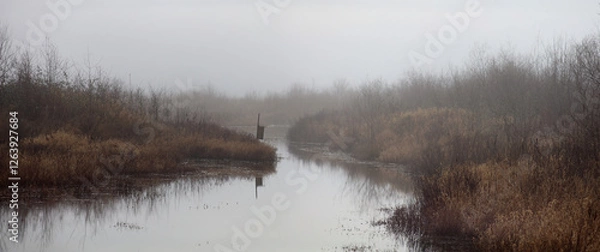 Obraz Morning fog on a river between marshes