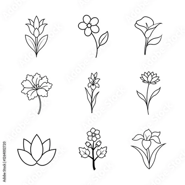 Obraz  Flower line art vector illustration