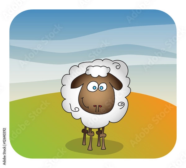 Fototapeta sheep