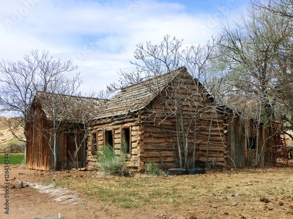 Fototapeta Abandoned old weathered log cabin in American desert