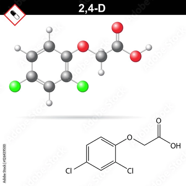 Obraz 2,4-D chemical structure