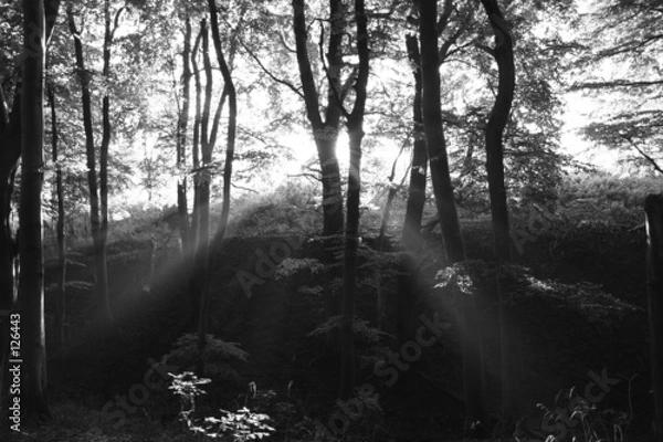 Obraz licht und schatten