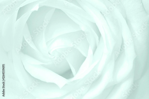 Fototapeta Light Teal Noise and Static Abstract Background for Modern Designs