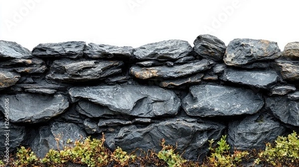 Obraz Textured stone wall with vibrant greenery at the base against a bright, white background