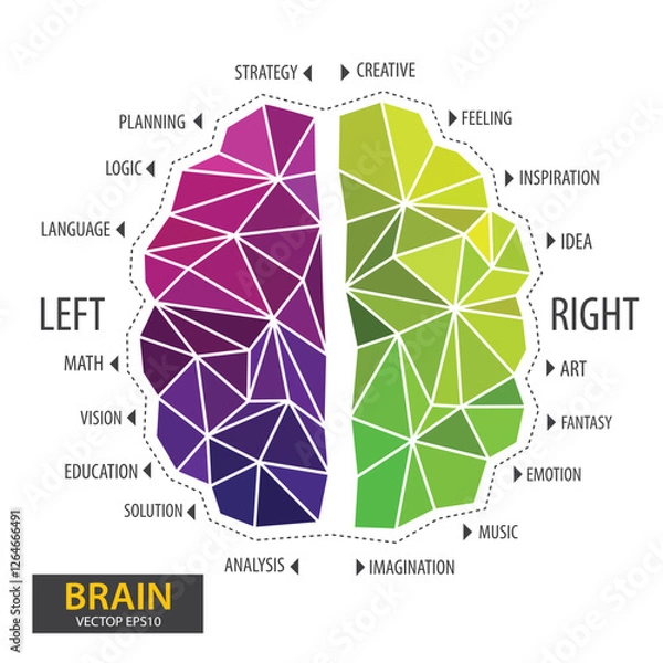 Fototapeta Left and right human brain concept. Infographics brain design. Polygonal art style. Modern geometric graphic. Triangle vector illustration.