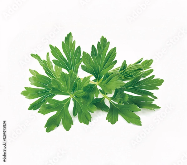 Fototapeta よもぎ