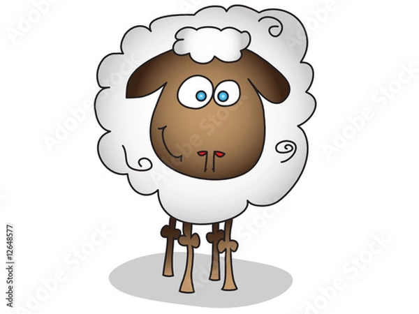 Fototapeta sheep isolated
