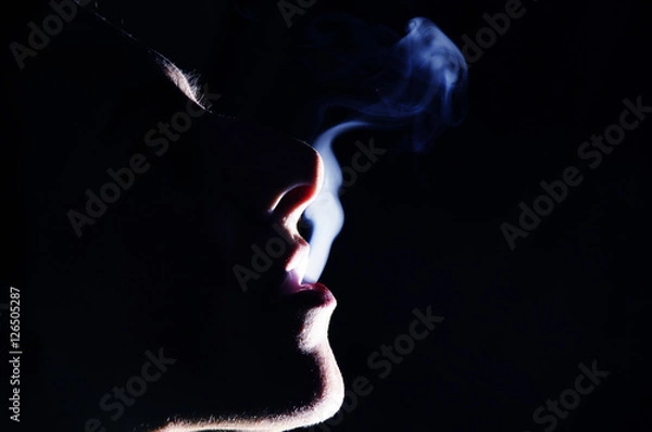 Obraz the shadow of smoking man