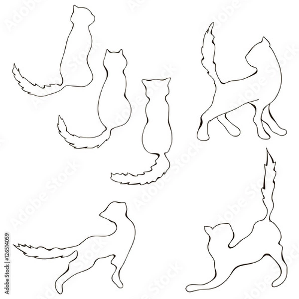 Fototapeta Cats collection - vector set