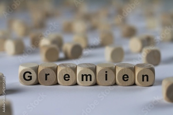 Obraz Gremien - Holzwürfel mit Buchstaben