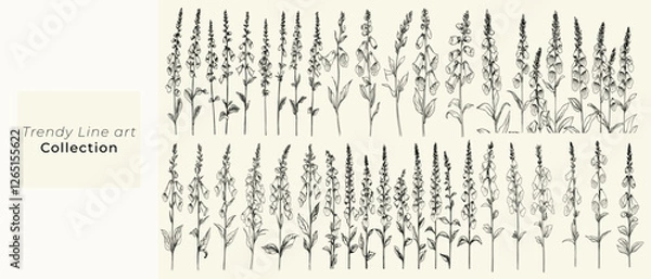 Fototapeta Feminine botanical floral branch, trendy greenery, wildflower collection, chic branding, minimalist black line art of wild foxgloves for wedding invitations, personalized wedding stationery