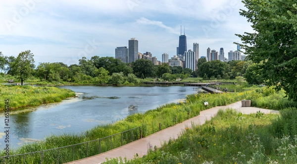 Obraz Pond at Chicago's Lincoln park