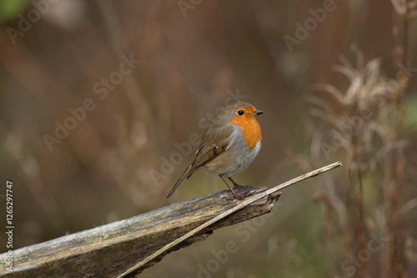 Fototapeta Generated image