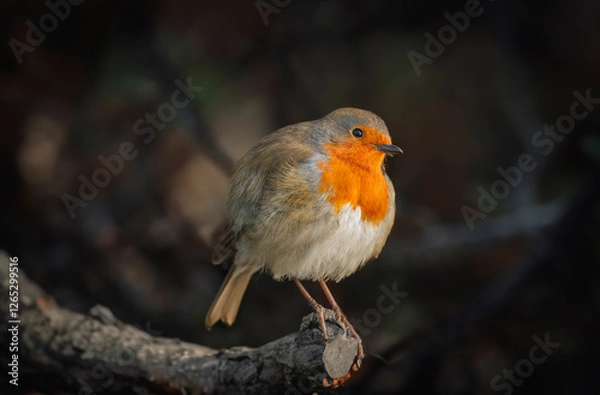 Obraz Generated image