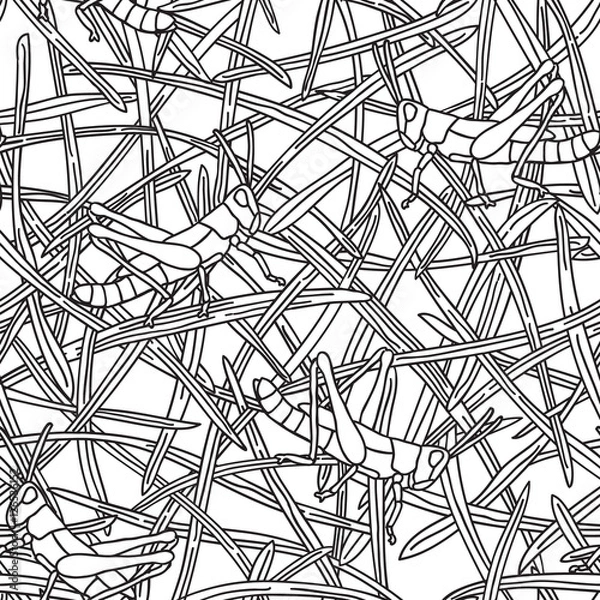 Fototapeta Grasshopper - Seamless Pattern.
Hand drawn seamlessly repeating vector pattern with grasshopper and grass motif.