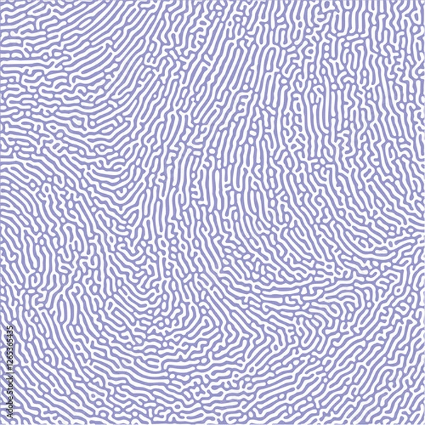 Obraz Organic abstract seamless turing patterns