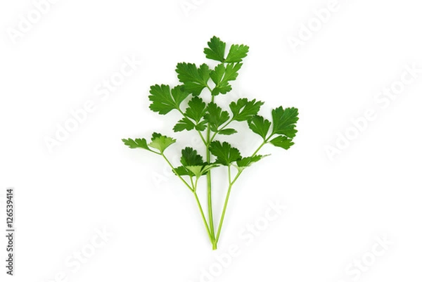 Fototapeta Prezzemolo