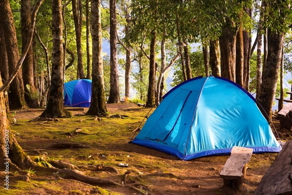 Obraz Two tents in the forest
