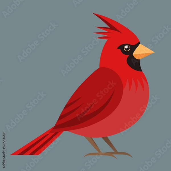 Fototapeta red cardinal bird